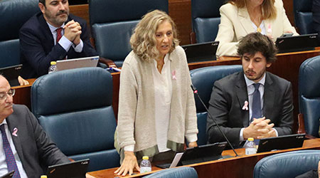 Pérez: “En lugar de inventarse tipos de familias, el Gobierno de Sánchez debería copiar las políticas puestas en marcha por el Gobierno de la Comunidad de Madrid”.