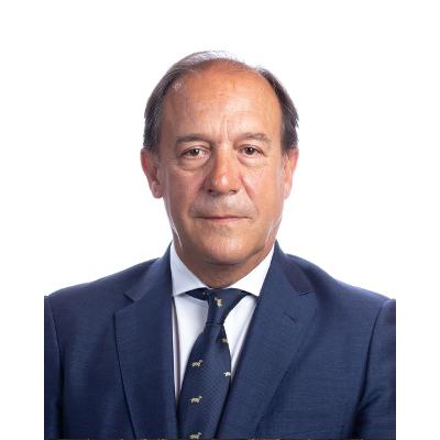 Silueta-Diputado