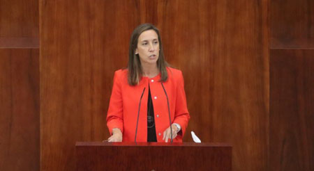 Heras, a Vox: “Si no superamos lo que nos separa y blindamos lo que nos une, el sistema educativo madrileño quedara a merced de los desmanes social-comunistas”