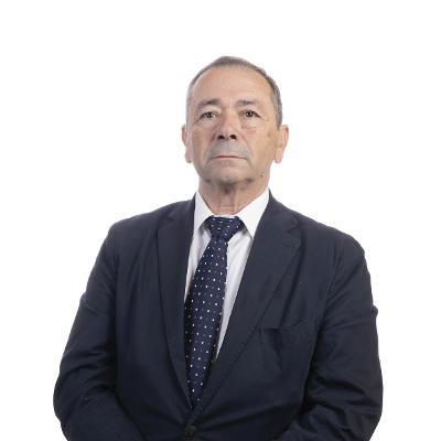 Silueta-Diputado
