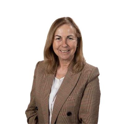 Silueta-Diputada