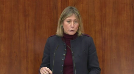 Serrano: “Desde la Comunidad de Madrid se están realizando todos los trabajos y actuaciones necesarias para solucionar los problemas provocados por la línea 7B en San Fernando de Henares”