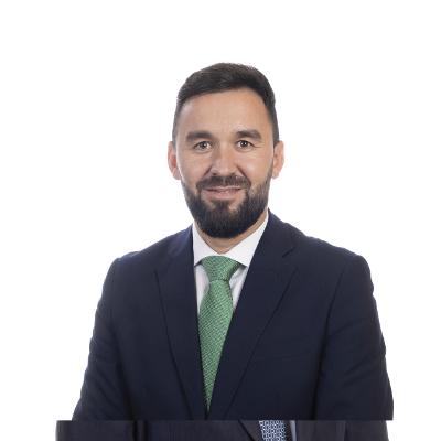 Silueta-Diputado