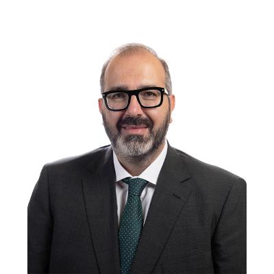 Silueta-Diputado